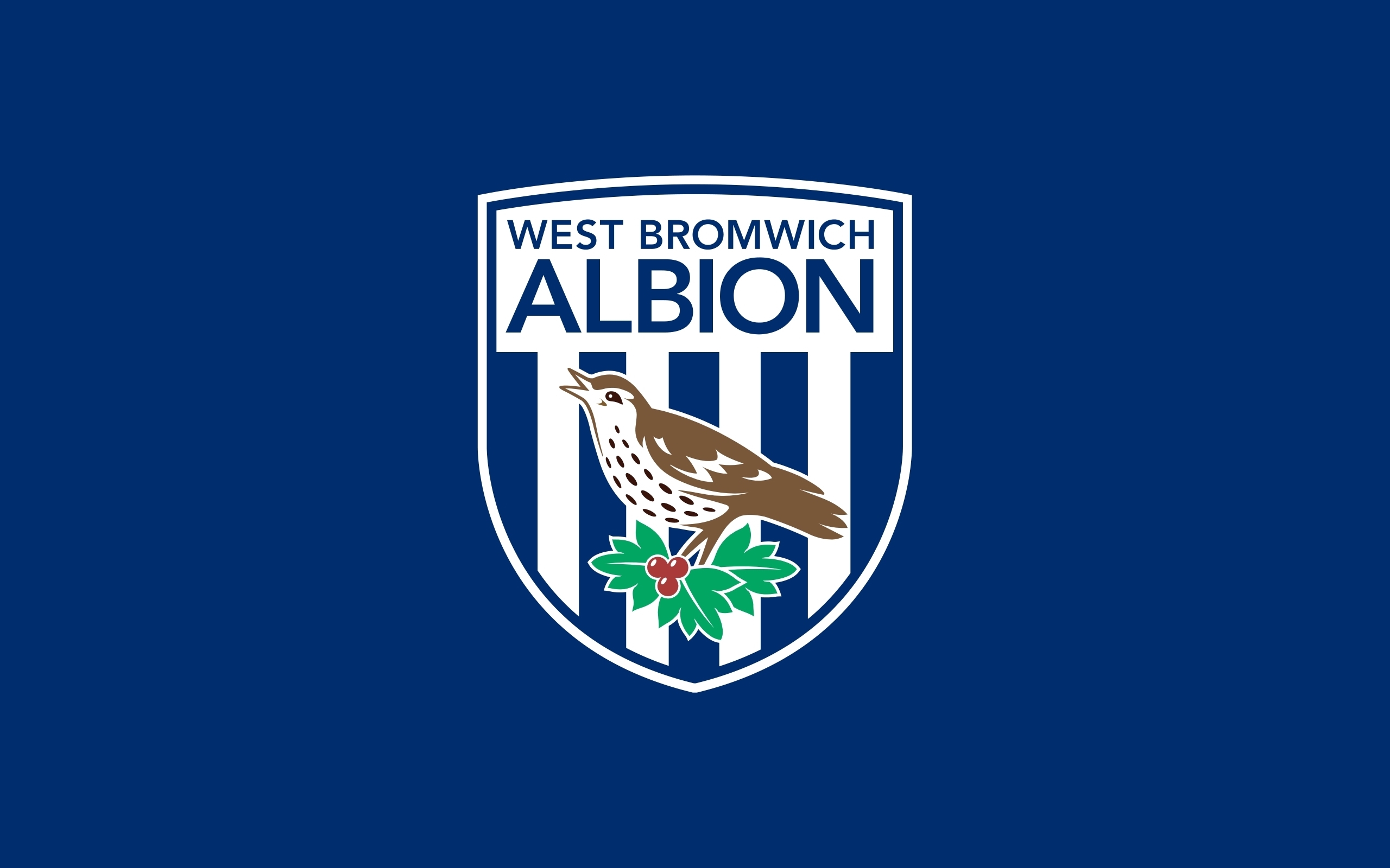 West Bromwich ALBION Primary logo t shirt iron on transfers